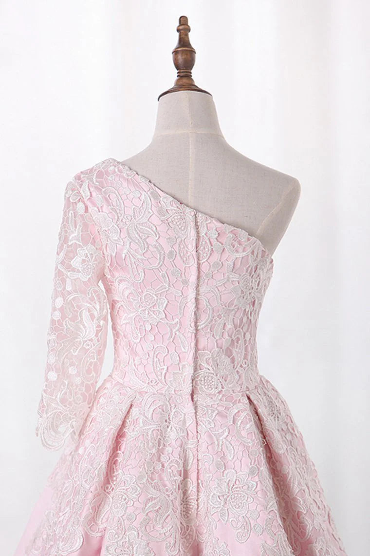 A-line single sleeved satin with decal two tone elegant dress