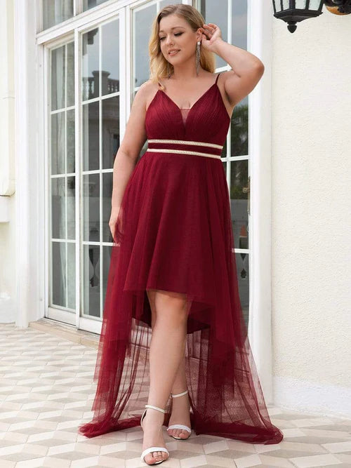 Elegant plus size V-neck high and low hem pleated sheer ball dress