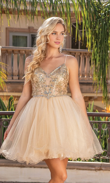 OKBBN Perspective Tight corset Short Doll Skirt Homecoming Dress