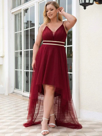 Elegant plus size V-neck high and low hem pleated sheer ball dress