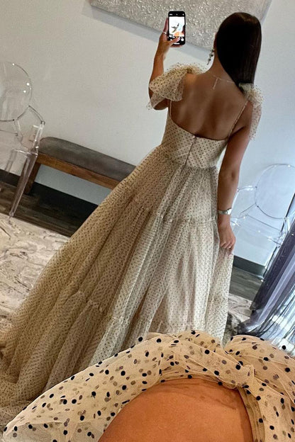 A-Line Tie Straps Zipper Back Long Tulle Prom Dress