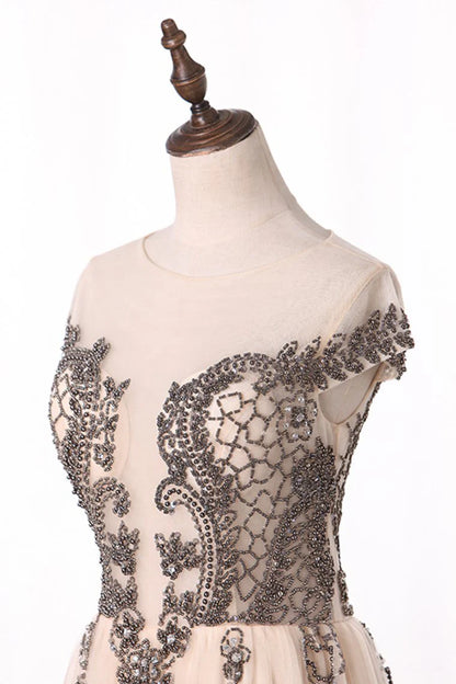 Beautiful sheer ball dress with A-line beto hat sleeves and dewdrops on the back