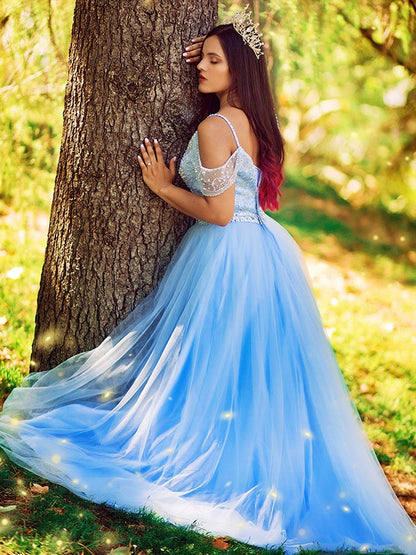 A-line Princess sheer sexy off the shoulder sleeveless floor formal dress
