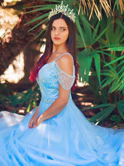 A-line Princess sheer sexy off the shoulder sleeveless floor formal dress