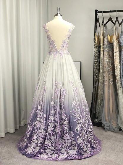 A-line Princess V-neck sheer inlaid sleeveless floor mop formal dress