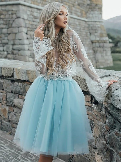 A-line princess skirt long sleeved mini sheer dress